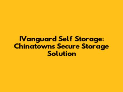 IVanguard Self Storage: Chinatown's Secure Storage Solution